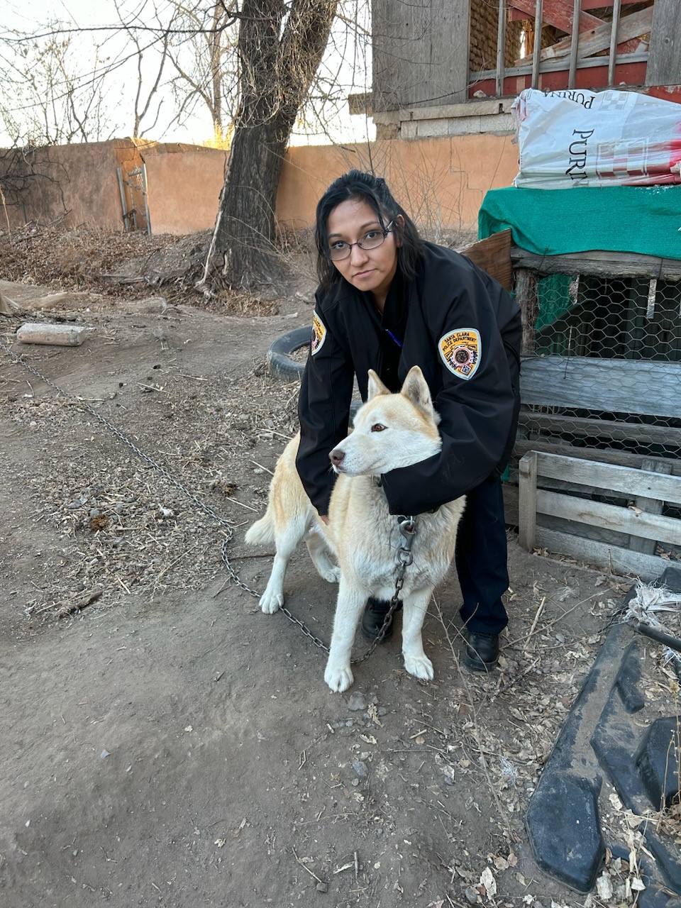 Animal Control Officer holding a dog
